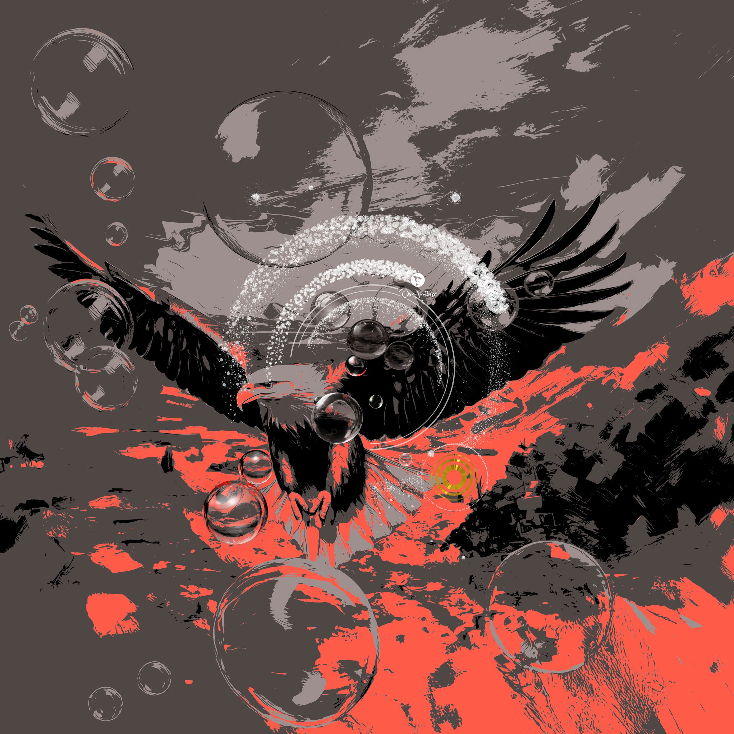 DER ABSOLUTE WEITBLICK | Seeadler