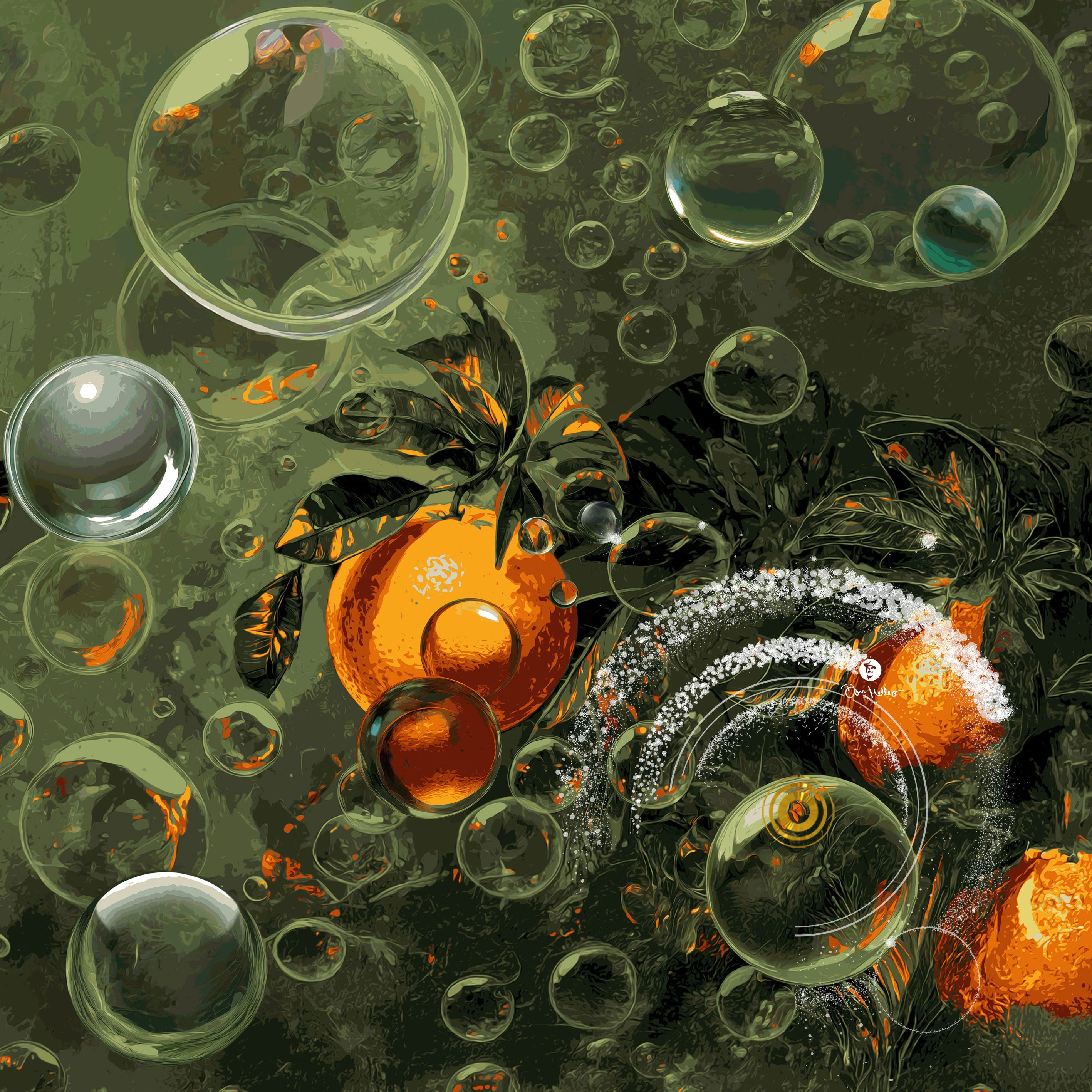 DIE VITALE FÜLLE | Orangen