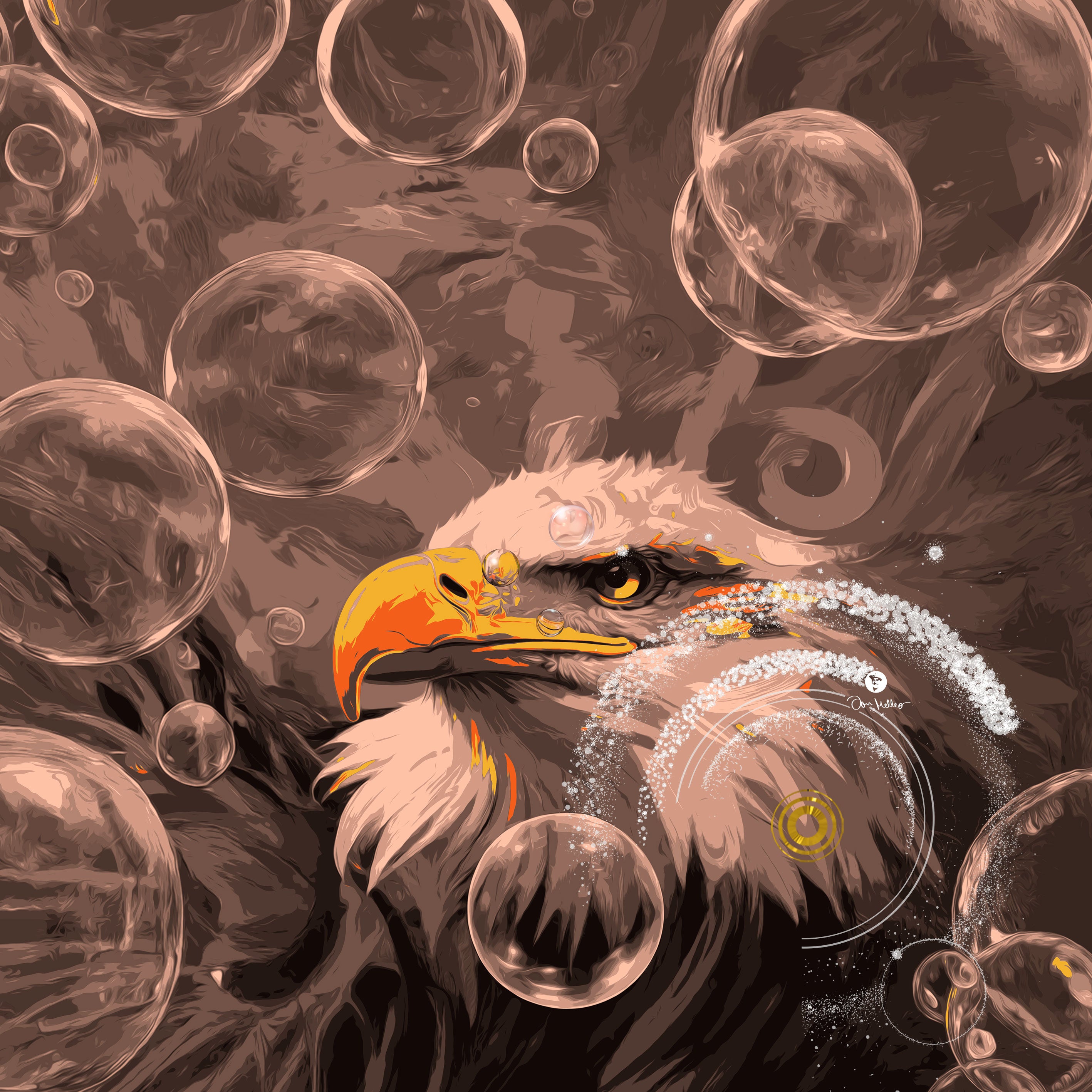 DIE REINE GLEITPHASE | Adler im Flow