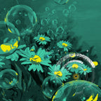 DIE SCHLICHTE SCHÖNHEIT | Gänseblümchen