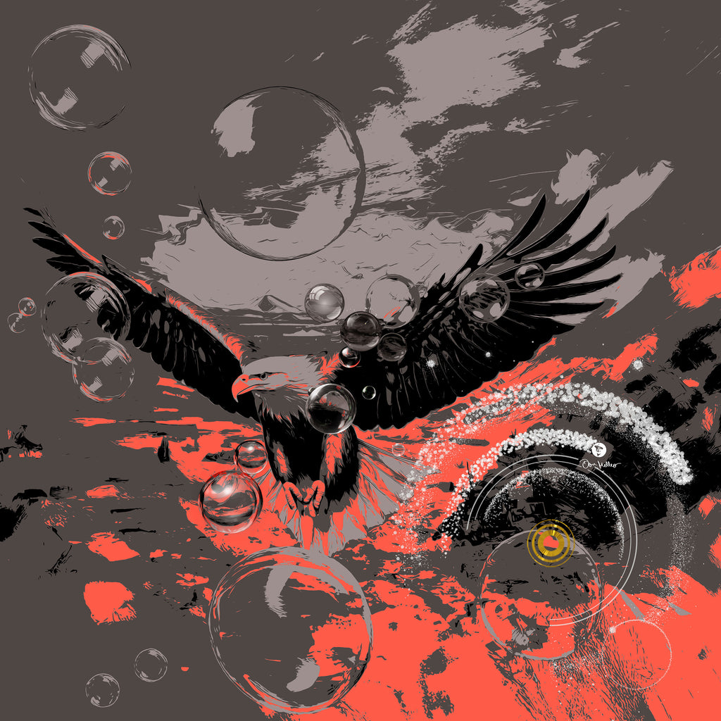 DER ABSOLUTE WEITBLICK | Seeadler